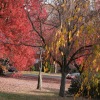 Grounds at Wynnefield Terrace Apartments in Philadelphia, PA